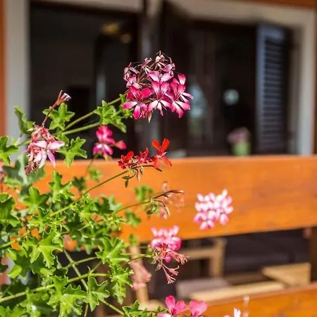 Sejdi With Private Pool Holiday home *